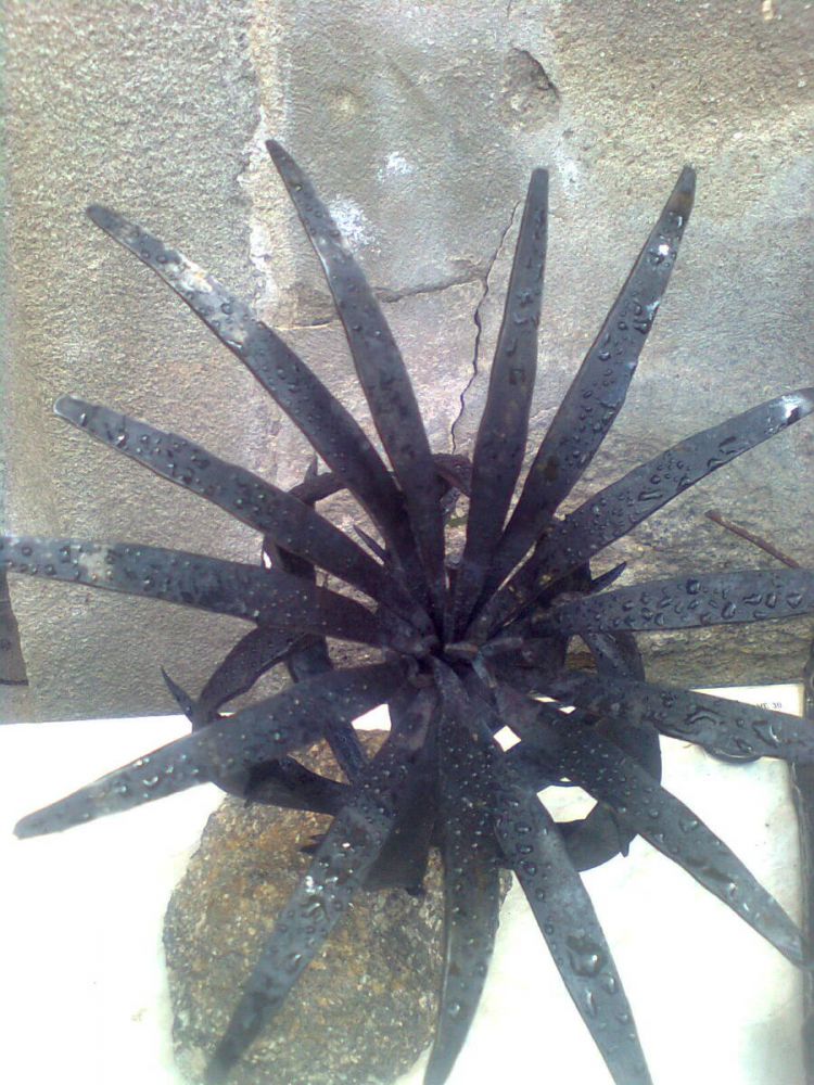 kovaný kaktus - detail